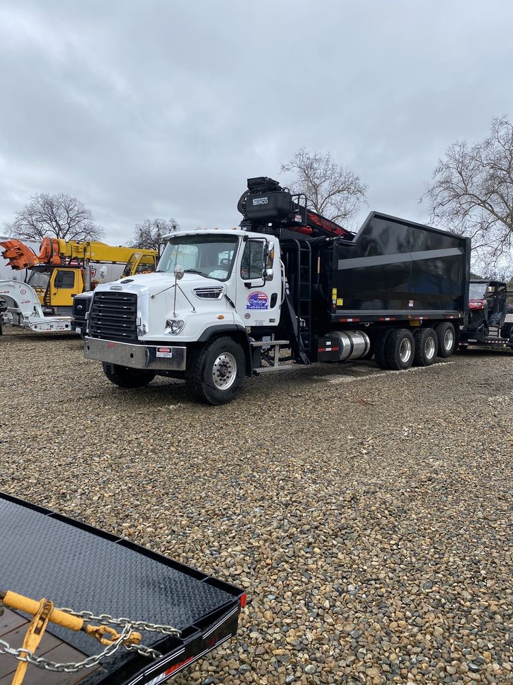 Tree Service Los Altos CA